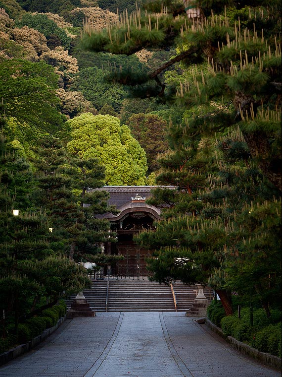 Kyoto fine art - flowing urbanity exhibition